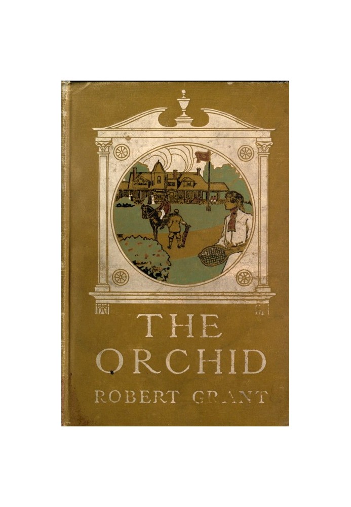 The Orchid