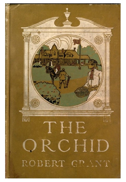 The Orchid