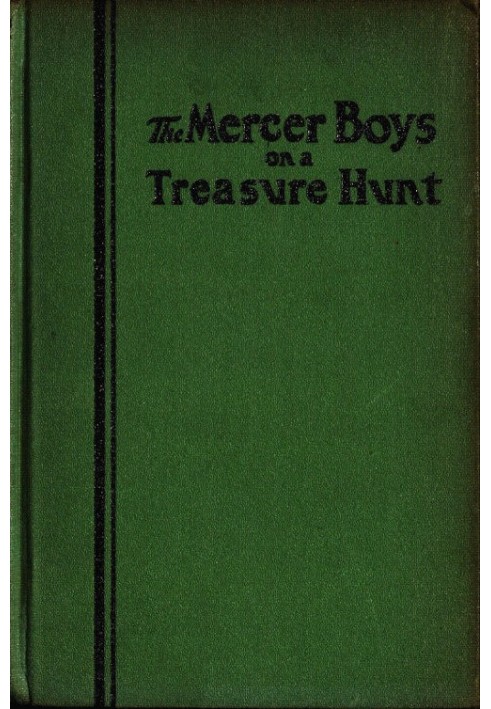 The Mercer Boys on a Treasure Hunt