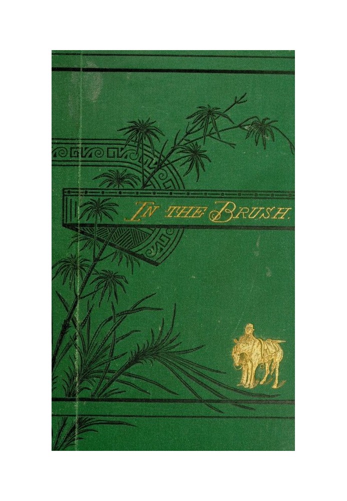 In the brush : $b or, Old-time social, political, and religious life in the southwest