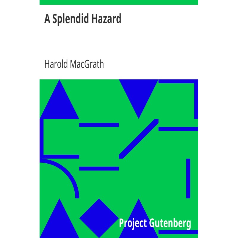 A Splendid Hazard