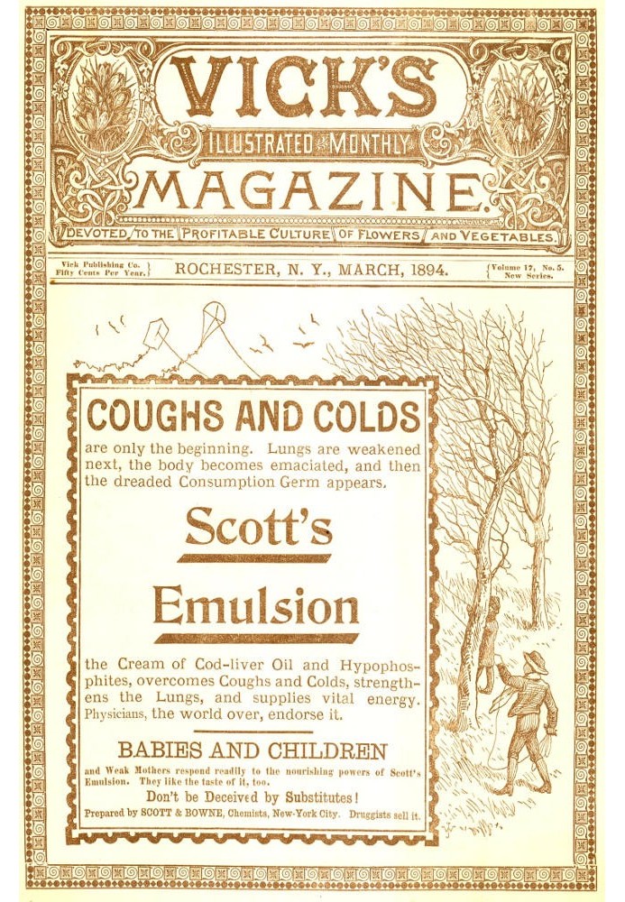 Vick's Illustrated Monthly Magazine, Volume 17, No. 5, March, 1894