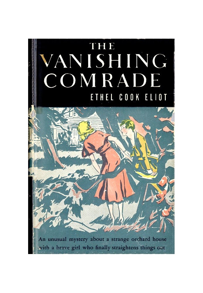 The Vanishing Comrade: A Mystery Story for Girls