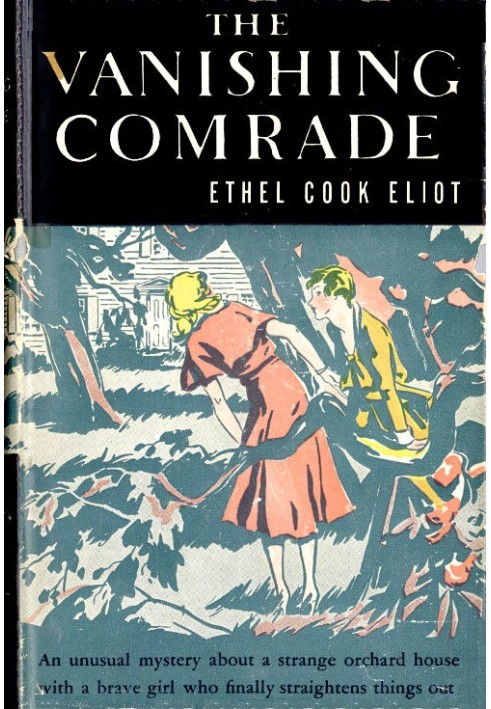 The Vanishing Comrade: A Mystery Story for Girls