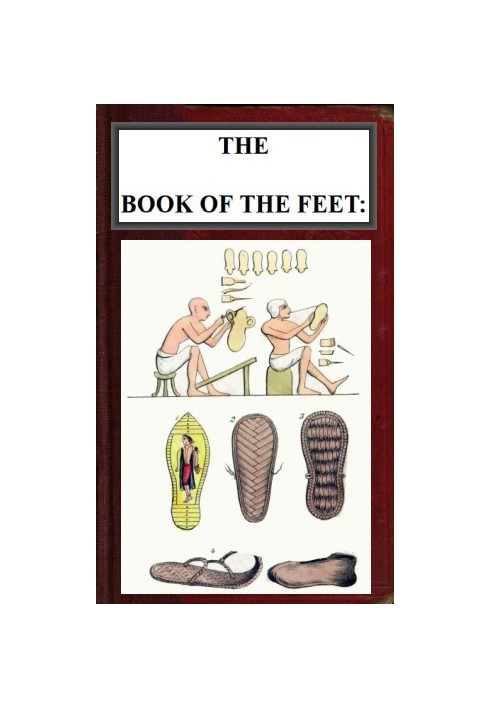 The Book of the Feet: A History of Boots and Shoes