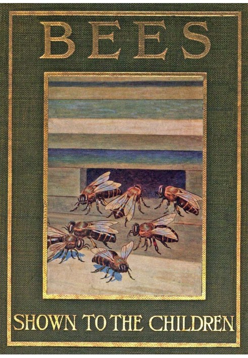 Bees, Shown to the Children