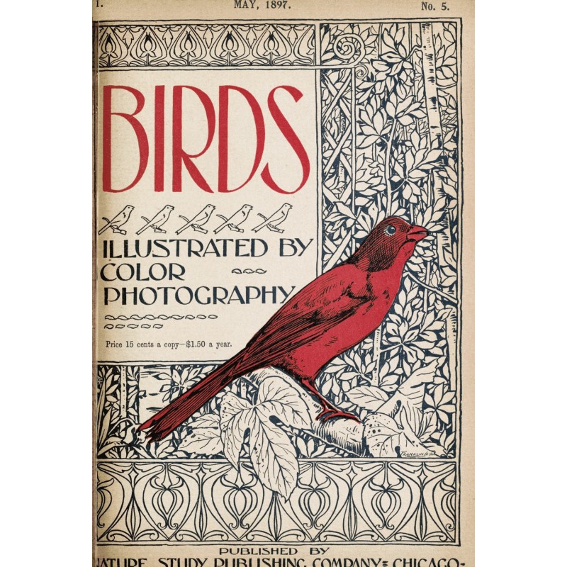 Birds, Illustrated by Color...
