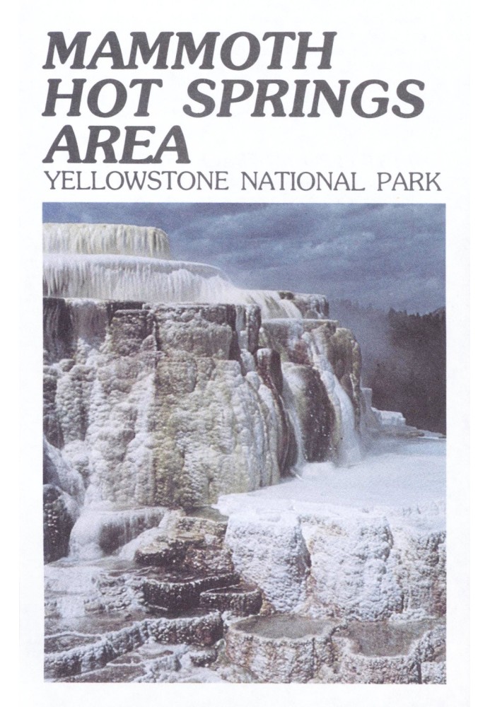 Mammoth Hot Springs Area: Yellowstone National Park