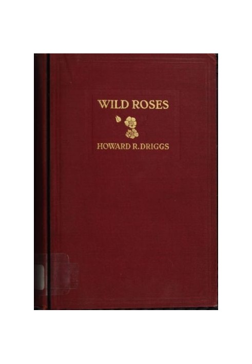 Wild Roses: A Tale of the Rockies