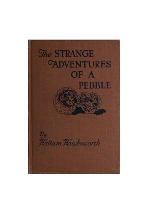 The Strange Adventures of a Pebble