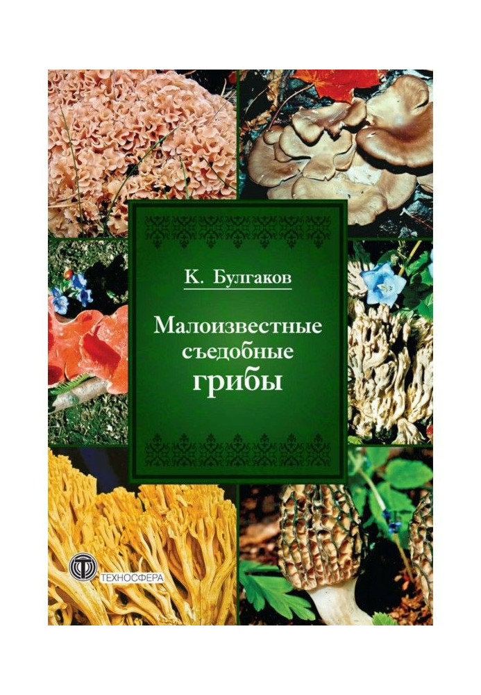 Маловідомі їстівні гриби