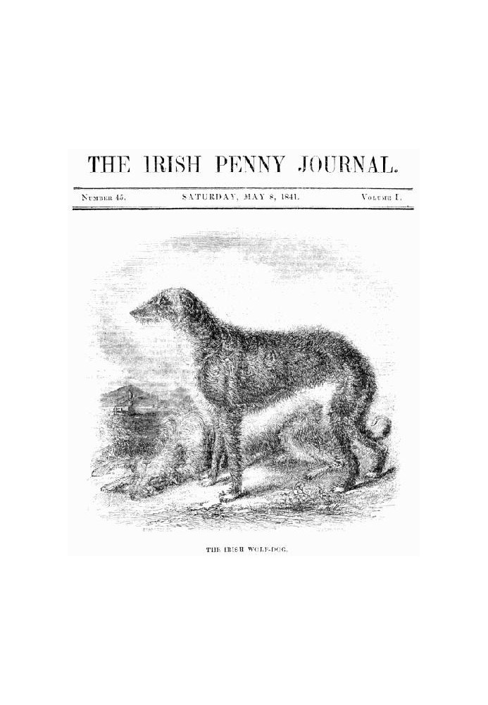 The Irish Penny Journal, Vol. 1 № 45, 8 травня 1841 р