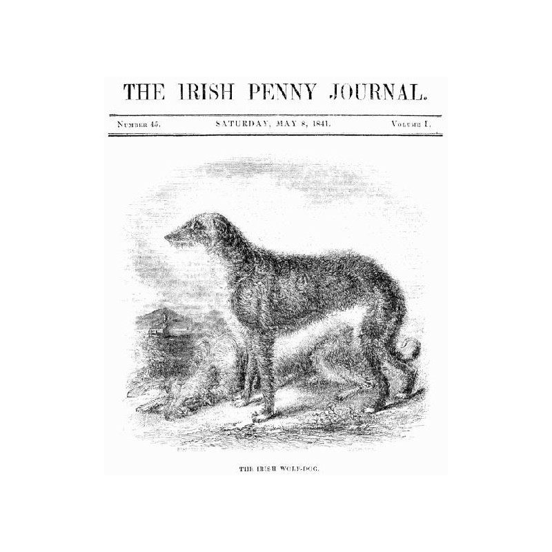 The Irish Penny Journal,...