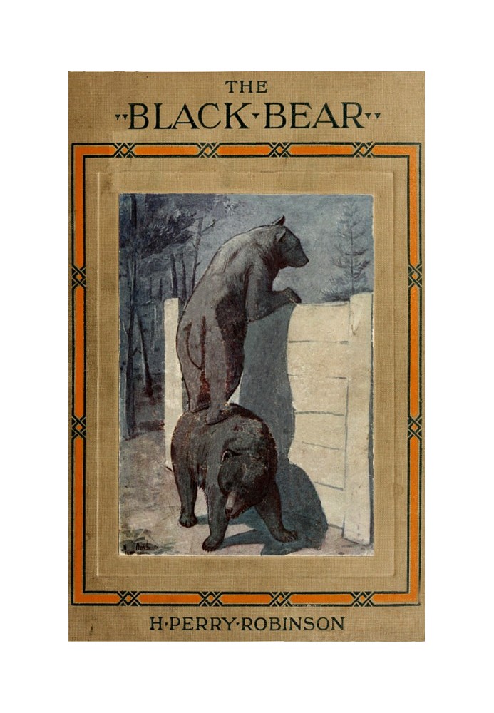 The Life Story of a Black Bear