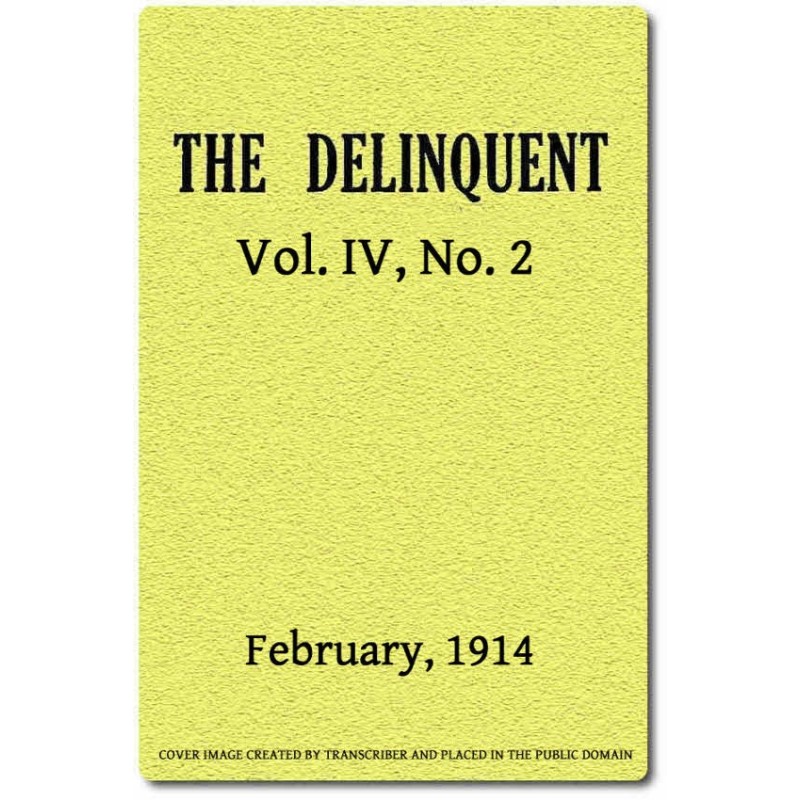 Правонарушитель (Том IV, №...