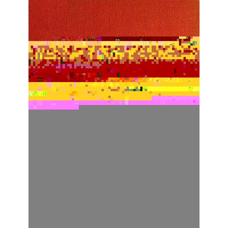 Four Young Explorers; Or,...