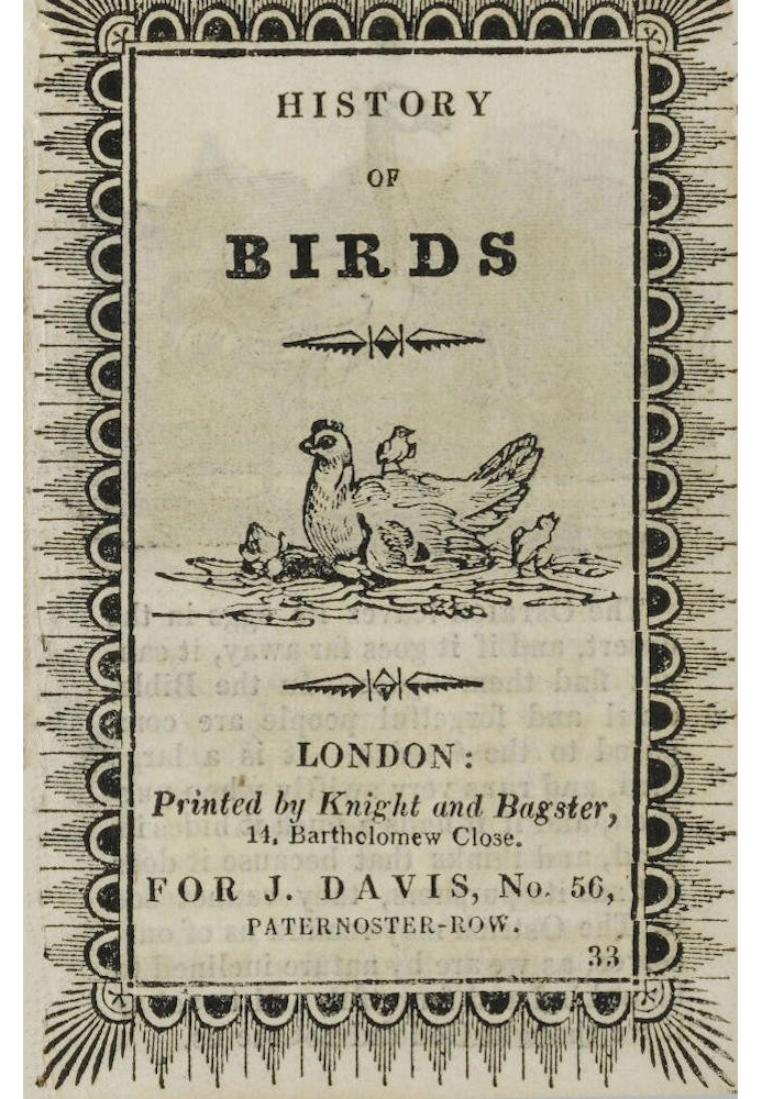 History of Birds