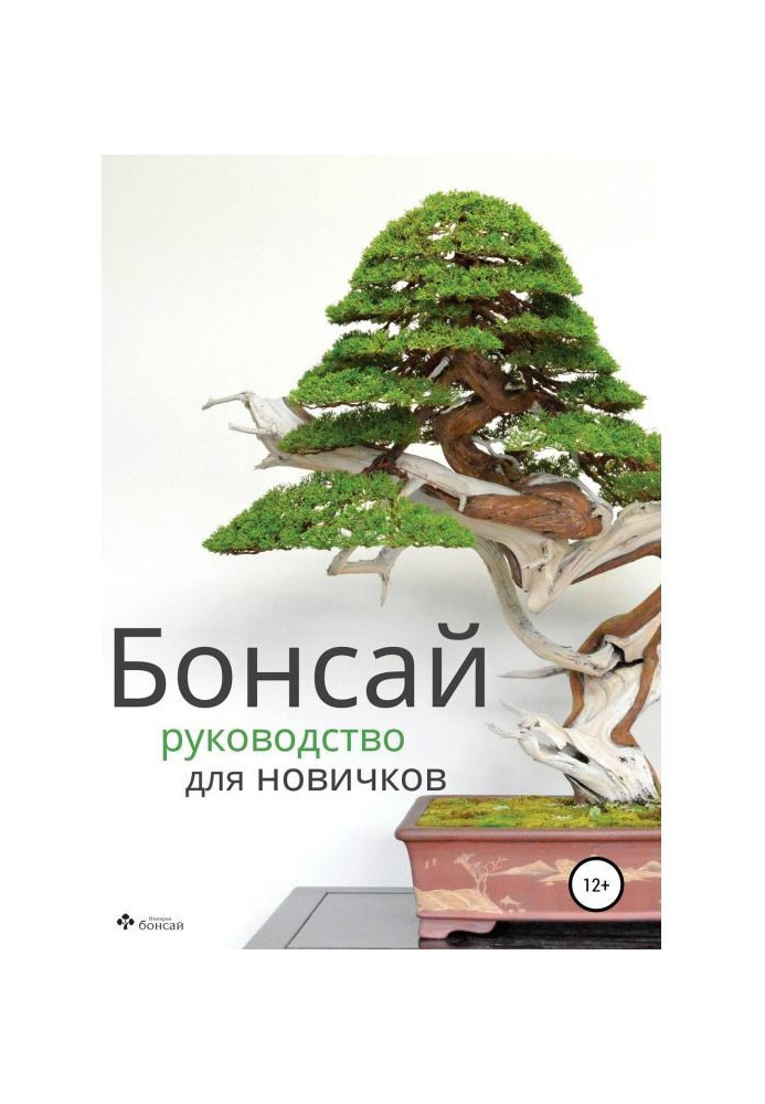 Бонсай - керівництво для початківців