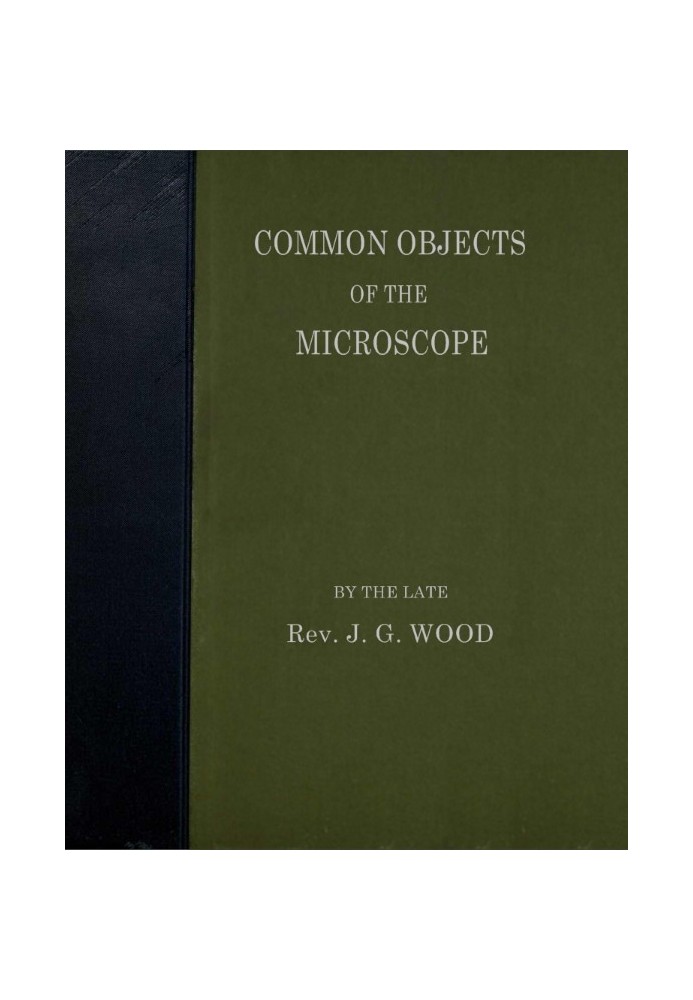 Common Objects of the Microscope