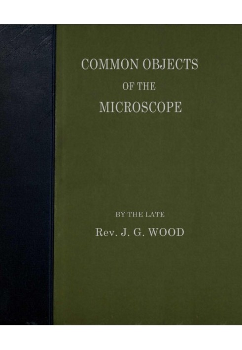 Common Objects of the Microscope