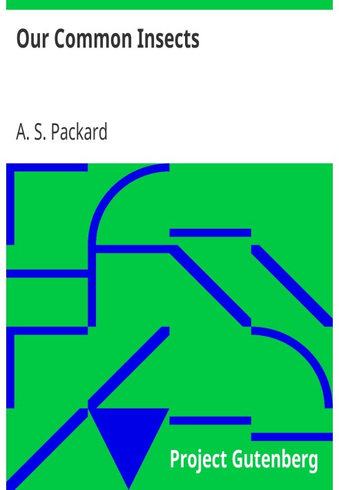 Наші звичайні комахи Популярний опис комах наших полів, лісів, садів і будинків