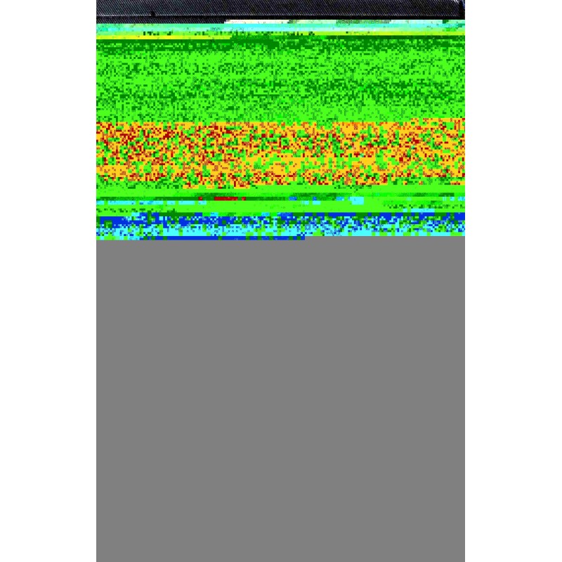 Години англійської мови
