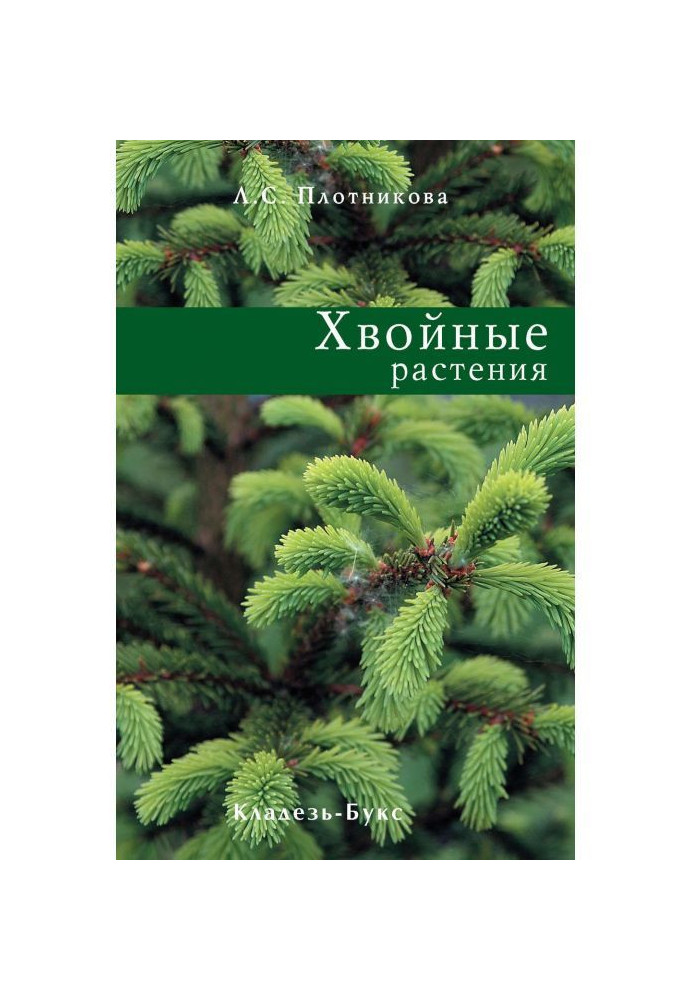 Coniferous plants