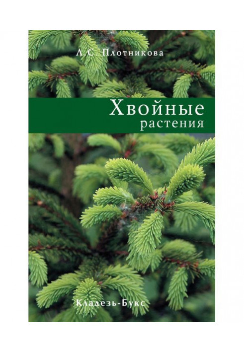 Coniferous plants