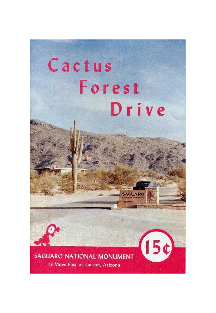 Cactus Forest Drive, Національний пам'ятник Сагуаро