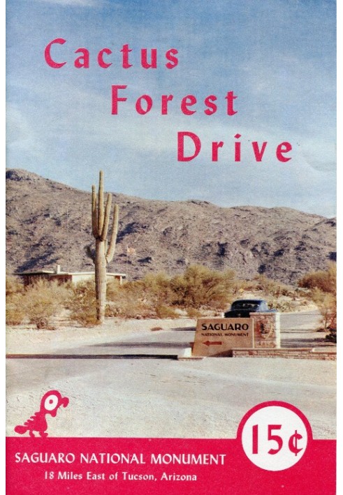 Cactus Forest Drive, Національний пам'ятник Сагуаро