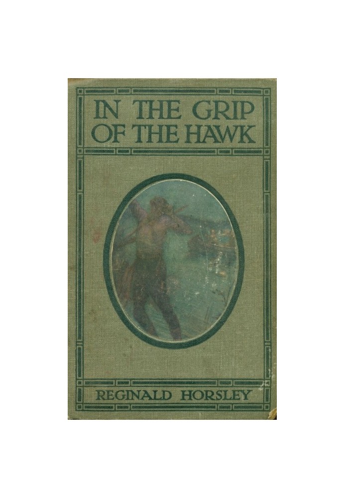 In the grip of the Hawk: A story of the Maori wars