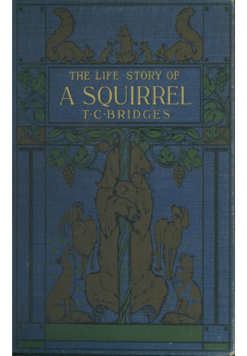 The life story of a squirrel