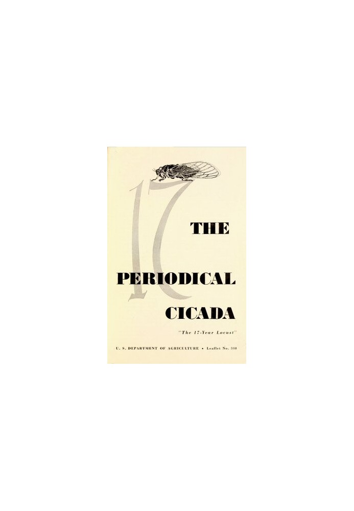 The Periodical Cicada, "the 17-year Locust"