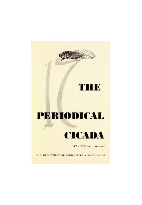 The Periodical Cicada, "the 17-year Locust"