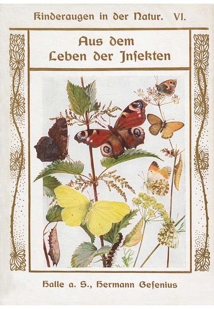 From the life of insects