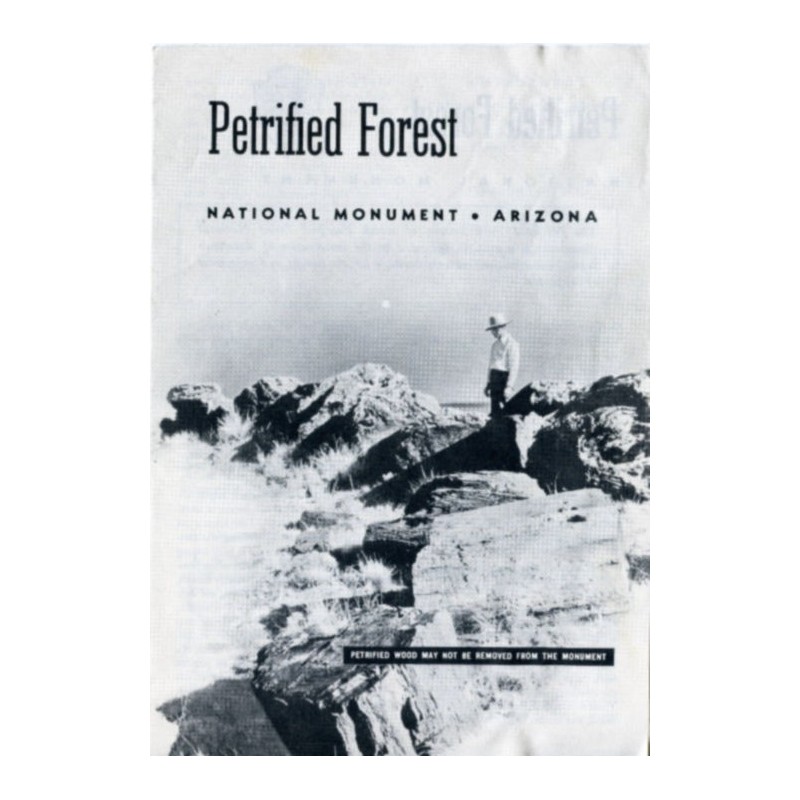 Petrified Forest National...