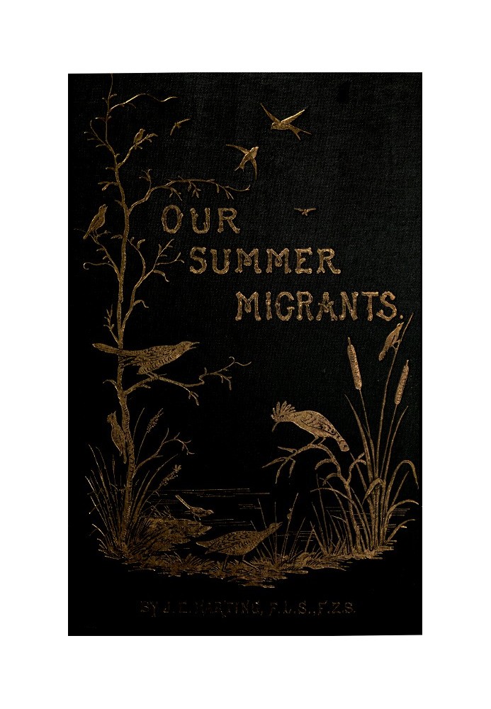 Our Summer Migrants An Account of the Migratory Birds Which Pass the Summer in the British Islands.