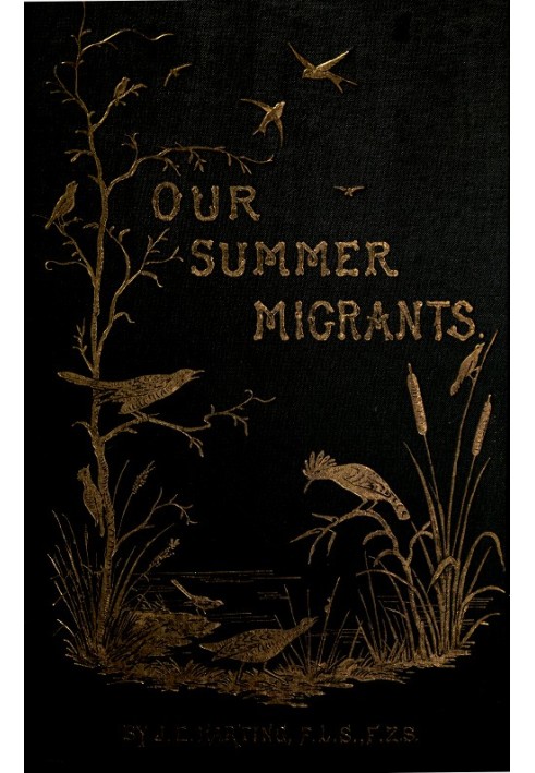 Our Summer Migrants An Account of the Migratory Birds Which Pass the Summer in the British Islands.