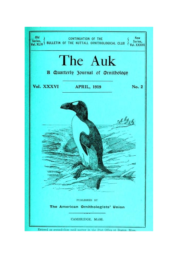 The Auk: Ежеквартальный орнитологический журнал, Vol. XXXVI АПРЕЛЯ 1919 ГОДА № 2.