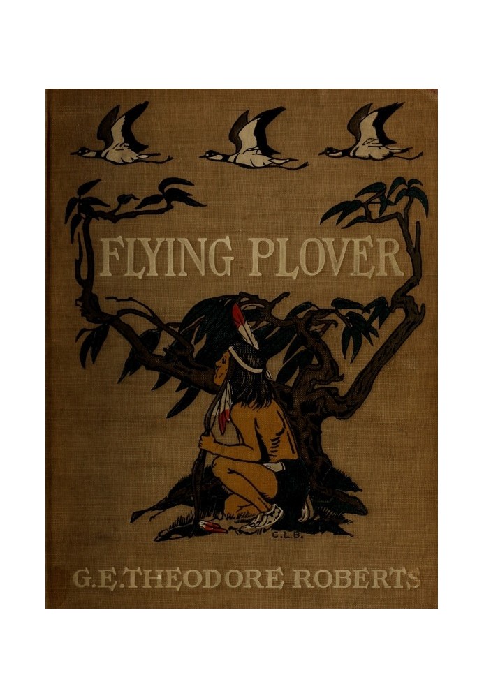 Flying Plover: його історії, розказані йому Squat-by-the-fire