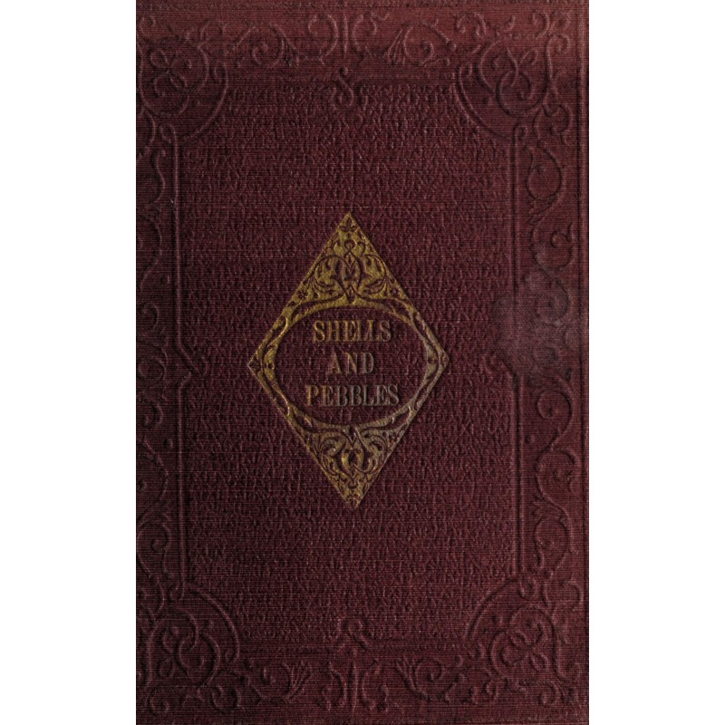 Shells and pebbles: A story...