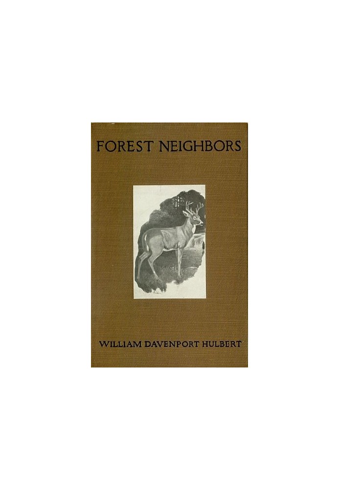 Forest Neighbors: Life Stories of Wild Animals