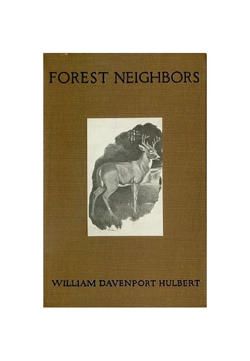 Forest Neighbors: Life Stories of Wild Animals