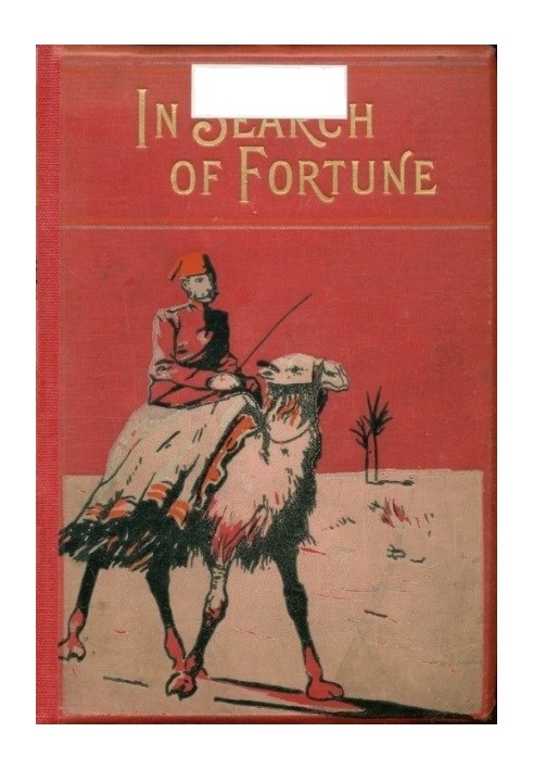 In search of fortune: A tale of the old land and the new