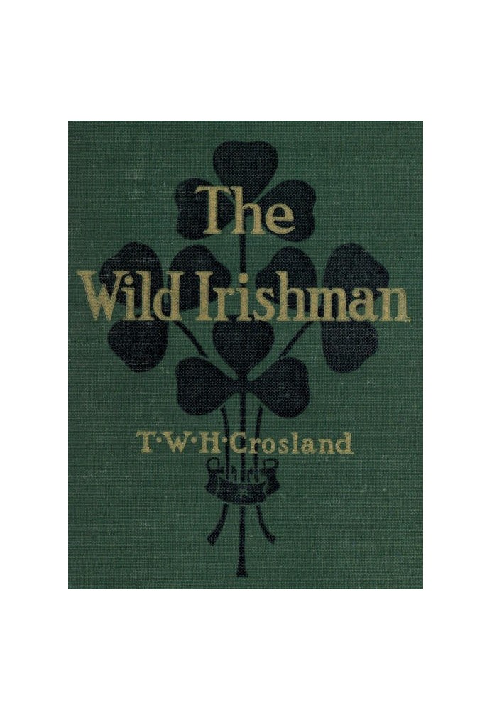 The Wild Irishman