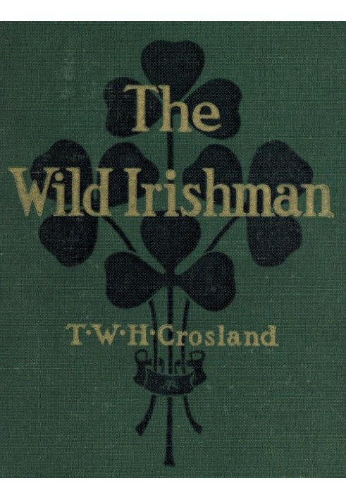 The Wild Irishman