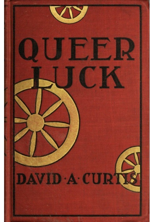 Queer Luck: Poker Stories from the New York Sun