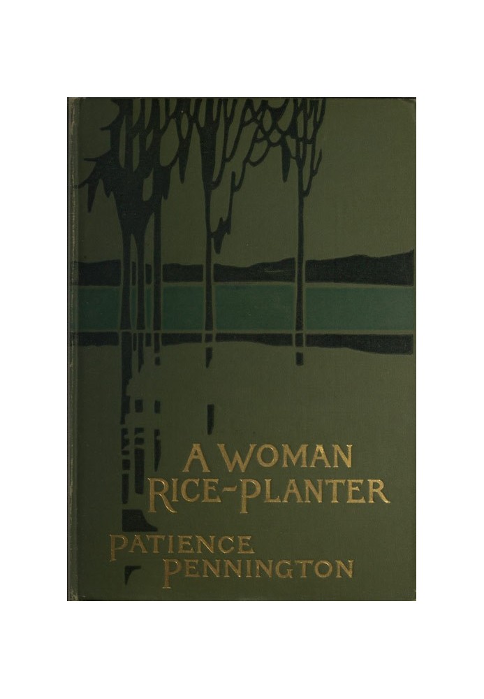 A Woman Rice Planter