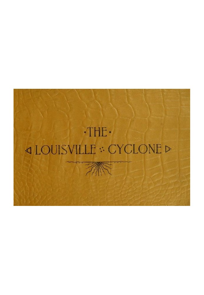 Louisville, Ky. after the Cyclone, March 27, 1890