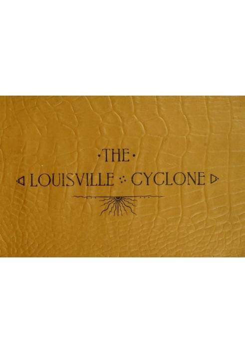 Louisville, Ky. after the Cyclone, March 27, 1890